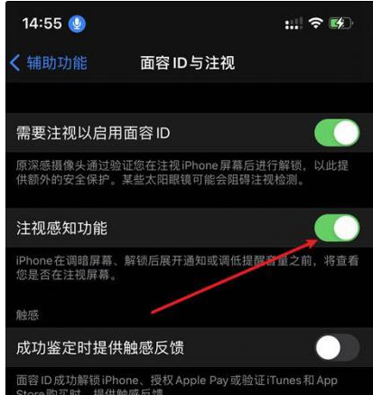 拖市镇苹果14维修网点分享iPhone14注视感知功能有什么用 