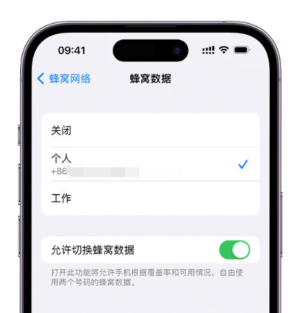 拖市镇苹果维修服务分享如何在iPhone上使用双卡 